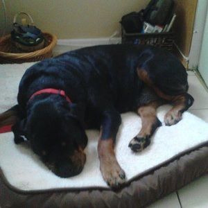 Meet your Posher, Sally